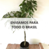 Muda60_TodoBrasil